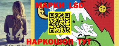хмурый Донской