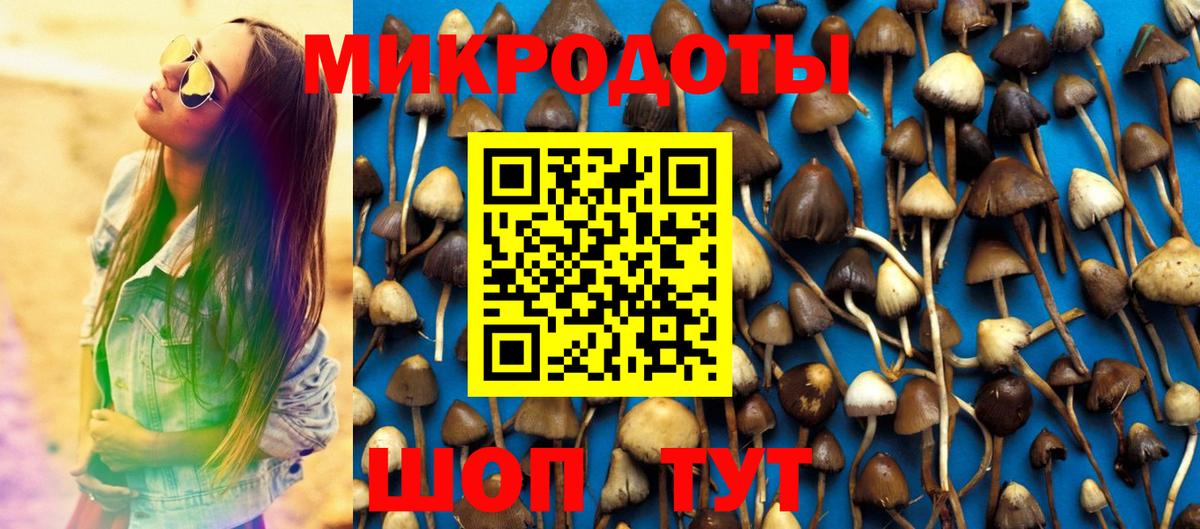 Минеральные Воды  Галлюциногенные грибы Psilocybine cubensis  Вход с VPN 