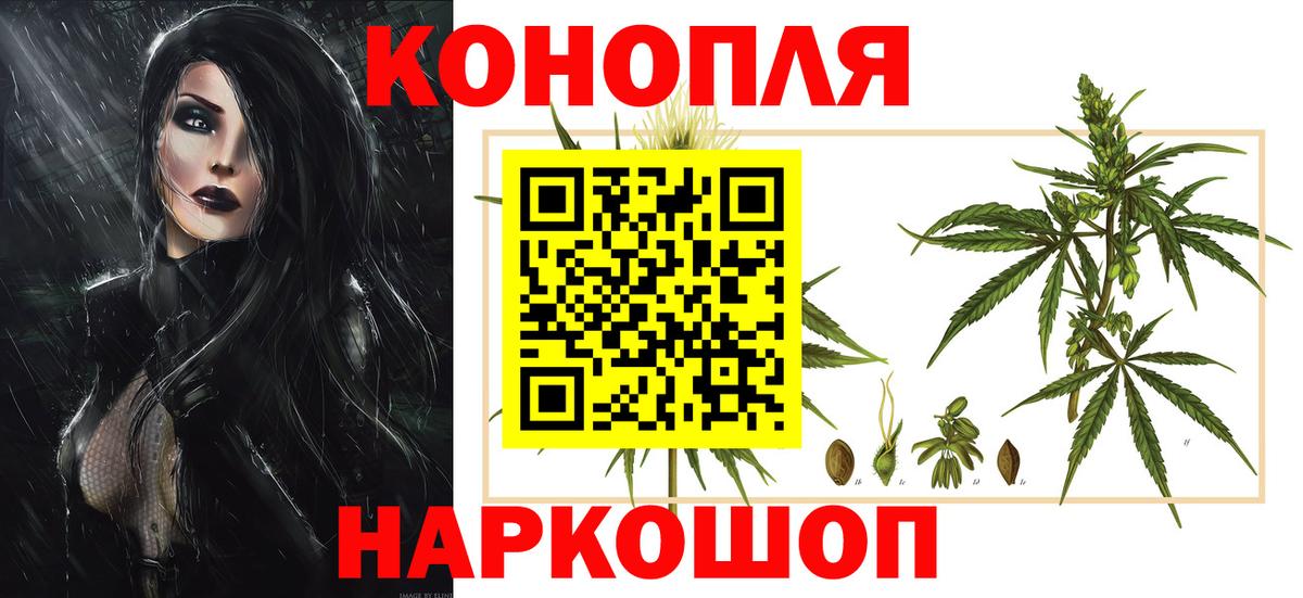 МАРИХУАНА план Минеральные Воды